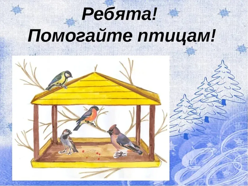 Покормите птиц зимой. Помогите птицам зимой. Плакат помоги птицам. Проект кормушка для птиц.