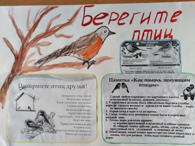 Берегите птиц! 2022, Рыбно-Слободский район — дата и место проведения,  программа мероприятия.