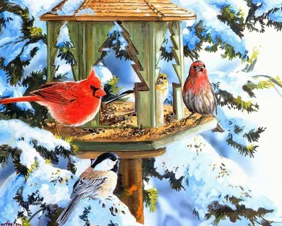 Покормите птиц зимой.