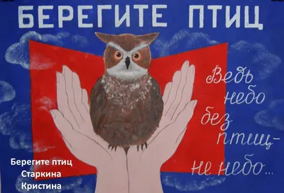 Берегите-птиц-Карпова-Анна-8-лет-МБОУ-СОШ-6-го-Мытищи-1 — ЭКОПОДМОСКОВЬЕ.РФ
