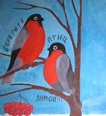 Сотрудники сельской библиотеки на Сахалине вышли на берег моря с плакатом \"Берегите  птиц\" - SakhalinMedia.ru