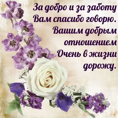 новый год начался хочу сказать спасибо и оставить прошлое позади｜Поиск в  TikTok