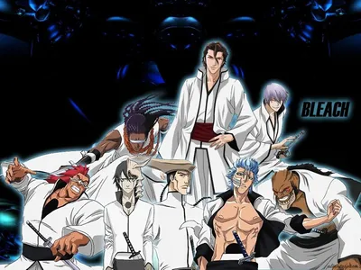 Espada, Bleach, Barragan Luisenbarn, manga - wallpaper #105156  (1759x1300px) on Wallls.com