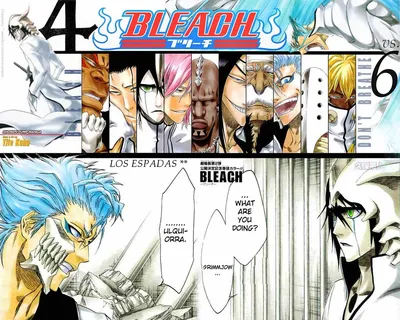 Bleach Strongest Espada, Ranked