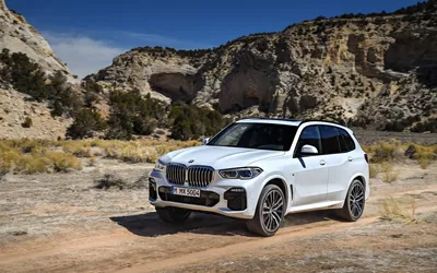 2020 BMW X5: Six Cylinders are Enough - The Car Guide