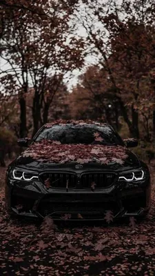 bmw/m5 f90 | Bmw wallpapers, Bmw cars, Bmw