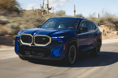 2024 BMW X5 Prices, Reviews, and Photos - MotorTrend