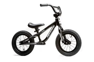 Best Mini BMX in USA + Canada | Wildcat Mini BMX Bikes