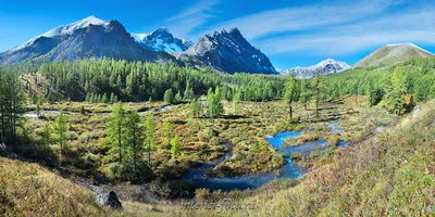 Фотообои для прихожей. Идеи и исполнение.