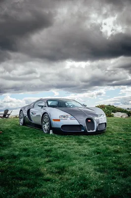 Bugatti Veyron | Top Gear Wiki | Fandom