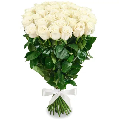 Букет из белых роз (29 шт) купить с доставкой в интернет-магазине за 4367р.  Позиция № 42