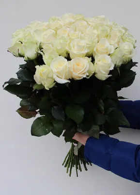 Белые розы купить с доставкой в интернет-магазине JARDINSTUDIO.RU