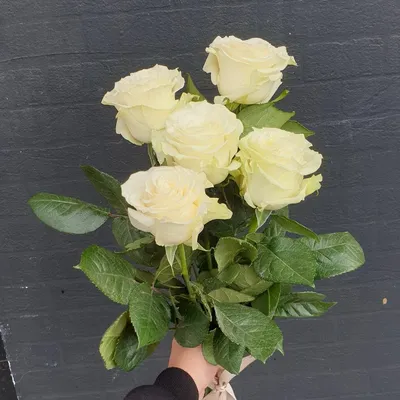 Букет из 9 белых роз купить с доставкой в Томске