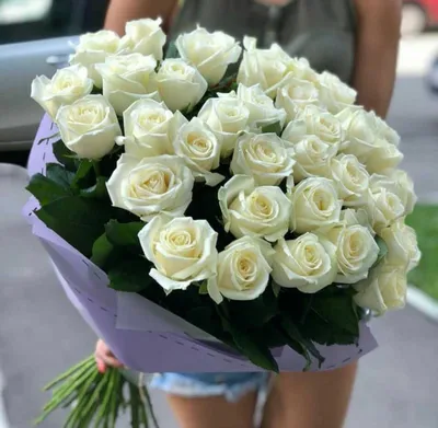 Букет из 5 белых роз с лентой с доставкой в Новосибирске. Служба доставки  цветов и подарков - FLO365