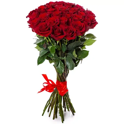 Букет из 9 красных роз с зеленью (50 см ) за 2100р. Позиция № 2902