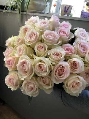 Букет небольшой микс розы №381 - 🌹 Цветы Новосибирск заказ: