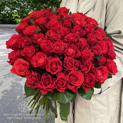 Букет из розовых роз и ромашек | купить недорого | доставка по Москве и  области