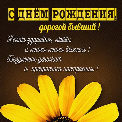 Жених Софии Конкиной приревновал ее к бывшему парню и убил попугая девушки:  Кино: Культура: Lenta.ru