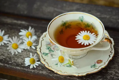 Чай: особенности, польза и виды - как его правильно пить - фото