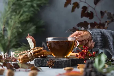 Рецепты вкусного травяного чая. Как заваривать полезный травяной напиток в  домашних условиях?: Еда: Из жизни: Lenta.ru