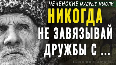 Александр Сокуров извинился перед главой СПЧ за свои высказывания на  встрече с Путиным. И рассказал об угрозах, поступающих из Чечни — Meduza