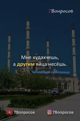 Посмотрим, кто из нас шайтан\": Кадыров нашел оскорбившего его подростка -  20.05.2021, Sputnik Армения