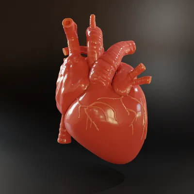 Насколько сильно человеческое сердце - 7,8, а может 10 метров | Тесты и  интересные статейки | Дзен