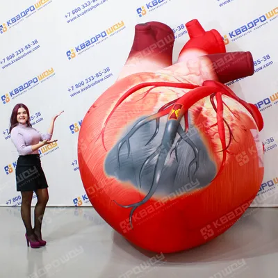 Человеческое сердце с цветами. Векторная иллюстрация. Татуировка стиль. В  старинном стиле | Human heart, Heart tattoo, Heart art
