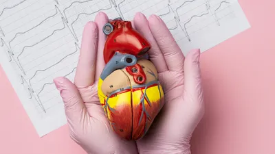 Человеческое сердце арт - 35 фото