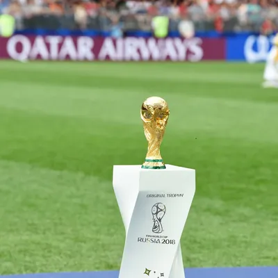 Старт чемпионата мира по футболу в Катаре: что нужно знать о первом дне  самого необычного мундиаля в истории | Тюменская Арена
