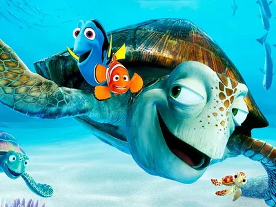 Раскраска Черепашка | Раскраски из мультфильма В поисках Немо (Finding Nemo)