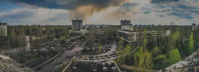 В поисках мутантов: какие дикие животные обитают в Чернобыле - фото -  23.06.2019, Sputnik Казахстан