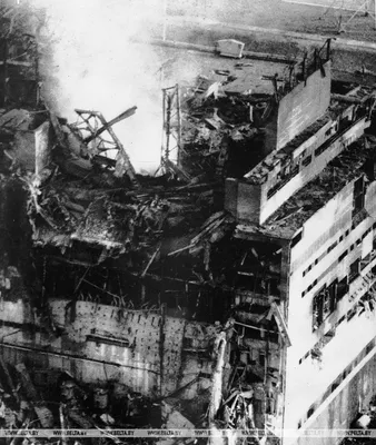Исторические фото из Чернобыля. Первые дни после аварии и последующие  мутации - BBC News Русская служба