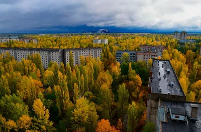 Как выглядит Чернобыль сегодня: фото и видео - 24 Канал