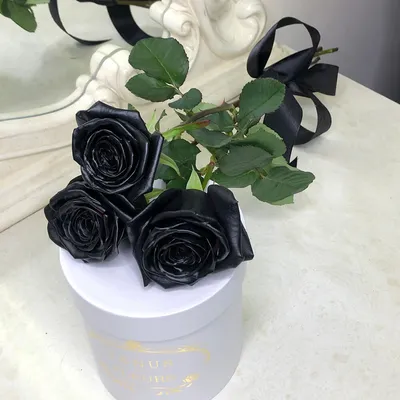 Черные розы \"Black Heart\" за 9 890 руб. | Бесплатная доставка цветов по  Москве