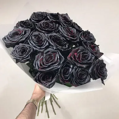 Букет 39 черных роз купить с доставкой в СПб