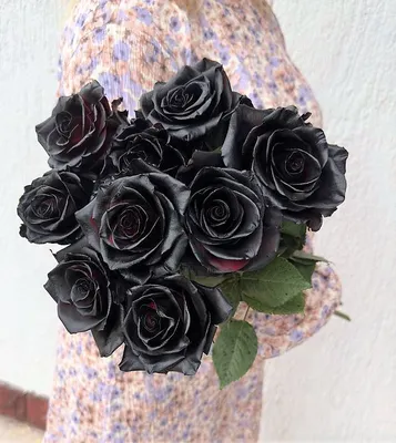 Черные розы с красной окантовкой - сердце за 9 790 руб. | Бесплатная  доставка цветов по Москве