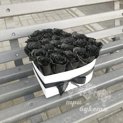 Букет 23 черных роз купить с доставкой в СПб