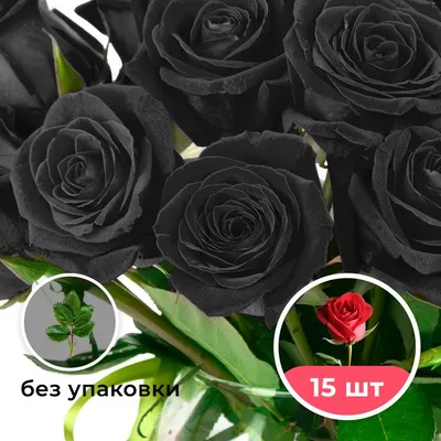 Купить Букет из чёрных Роз в Москве недорого с доставкой