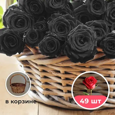 Купить букет 15 черных роз с 1 красной в упаковке в Москве