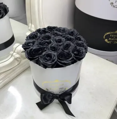 17 натуральных черных роз 70-90 см по ✓ выгодной цене 4400 рублей купить в  Москве в DeliveryRose | DeliveryRose