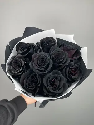 5 черных роз в упаковке - купить с доставкой в Москве, Azalia Now