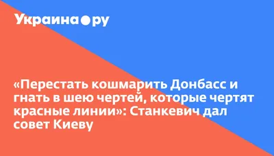 Мистические животные: 15 завораживающих кадров таинственной жизни черных  котов