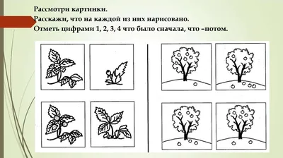 Тетрадь для общения и развития детей \"Луговые цветы\" СФ-Т-23 в  Москве|CLEVER-TOY.RU