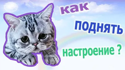 Как поднять себе настроение | Пикабу