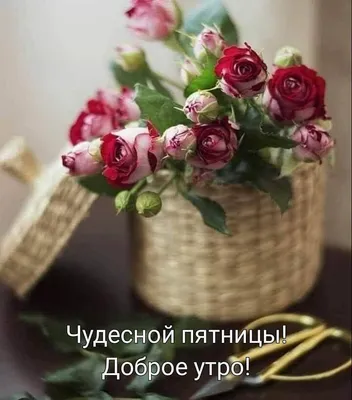 СЛОВА ЖИЗНИ - Чудесной пятницы!🌷 | Facebook