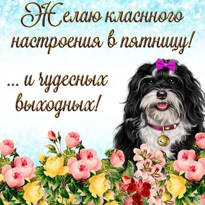 Чудесной пятницы вам друзья!!! С... - Искусство и творчество | Facebook