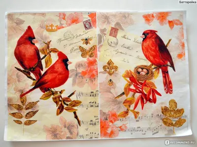 Декупаж - Поиск в Google | Нарисовать птицу, Краска, Художественная роспись