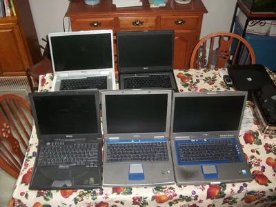 Best Dell laptops in 2024
