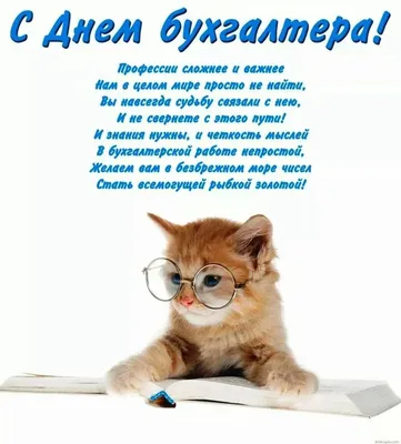 Всех бухгалтеров - с профессиональным праздником! — DSnews.ua